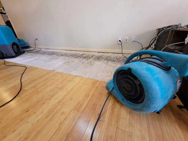 Professional Flood Damage Cleanup technician working in Lake City, FL